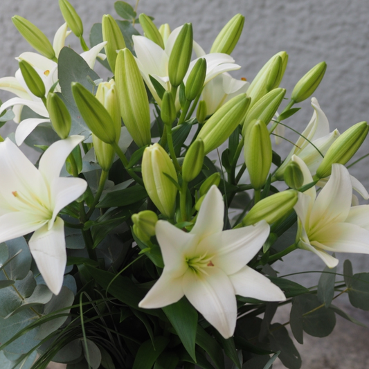 Weißer Lilien-Strauß