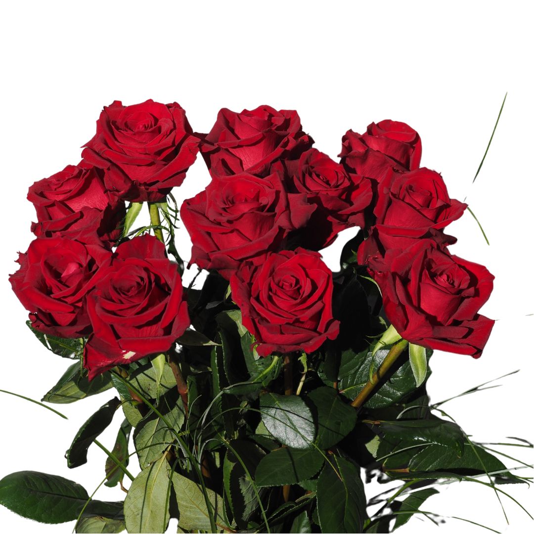 Rote Rosen (Rosenkavalier)