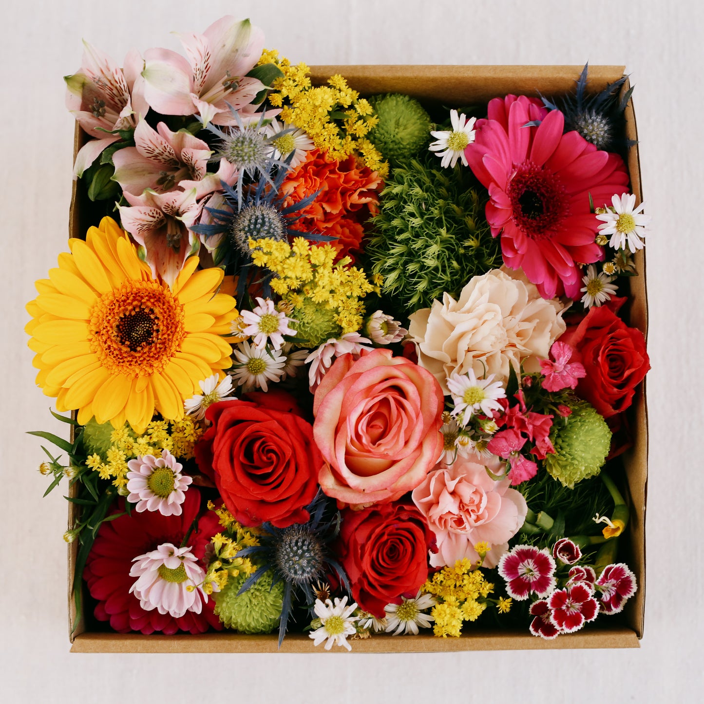 Flower-Box - Naturel