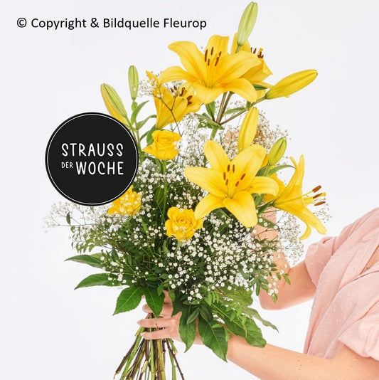 Strauß der Woche (L)