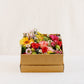 Gemischte bunte Blumen in der Box, naturfarben, Schräg von vorne